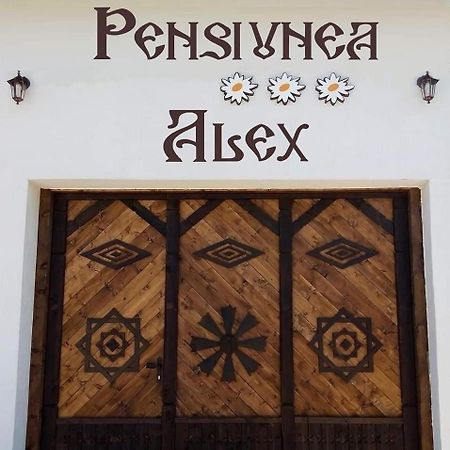 Pensiunea Alex Marga Zewnętrze zdjęcie